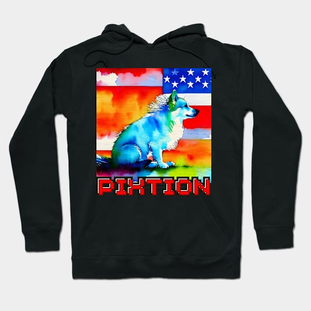 America Hoodie by pixtion